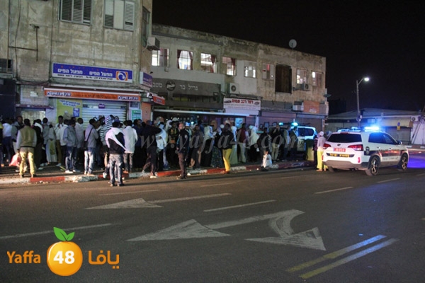 shejar aretreeien (5).JPG